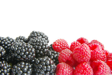 raspberry and blackberry