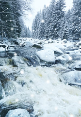 wild river in winter time