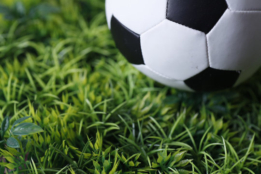 Soccer roules the world