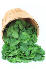 Organic baby spinach.