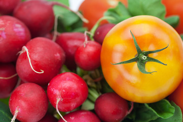 radish, cucumber and tomato isolated on white