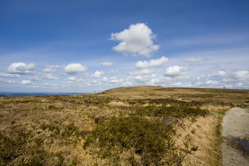 Landscape since the top of a hill