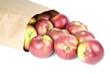 Paper Bag Full of Macintosh Apples