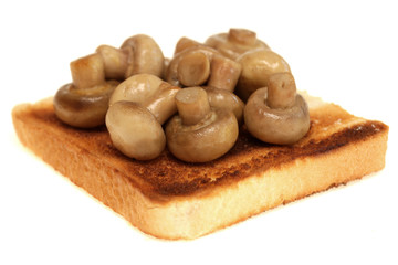 Mushrooms on Toast