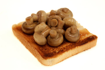 Mushrooms on Toast