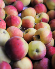 Äpfel