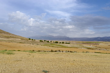 Obraz premium Paysage d'andalousie