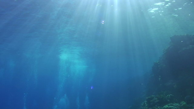 Sunrays breaking throught he ocean surface