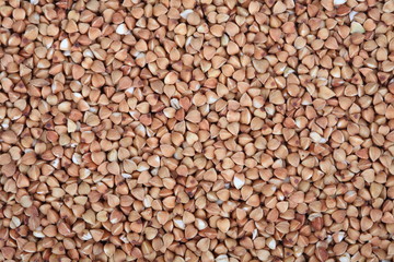 buckwheat seeds