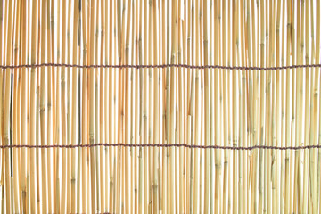 Bamboo blind