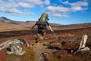 springender Wanderer