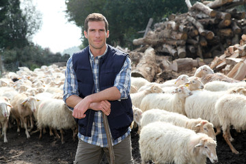 Shepherd standing by sheep in meadow