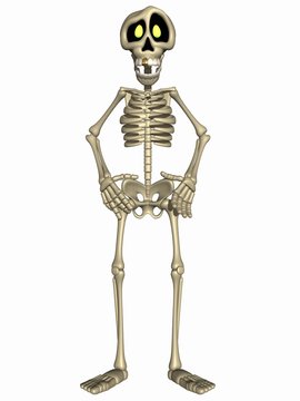 Toon Skeleton