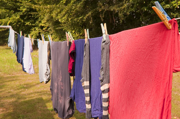 Linge qui sèche dans un jardin