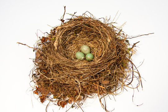 Vogelnest, bird's nest