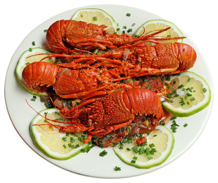 assiette de langoustes cuisin&eacute;es, fond blanc