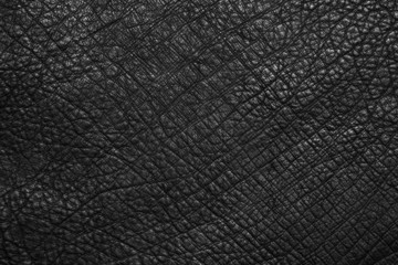 leather texture black