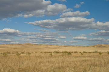 Obraz premium Yellow steppe and perfect sky