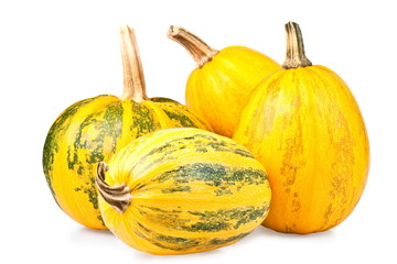 Group of pumpkins isolated on a white background