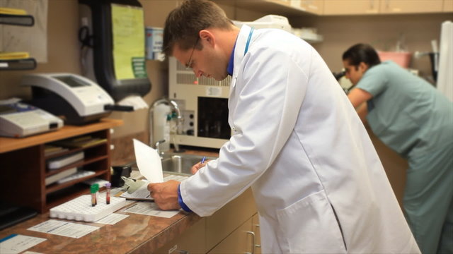Doctor and Technician Working in Small Laboratory