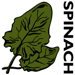 Spinach