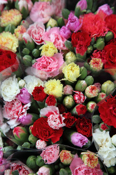 Au march&eacute; : Vente de bouquets d'oeillets