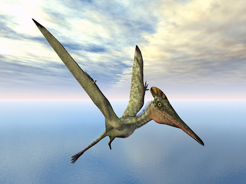 Flugsaurier Pterodactylus
