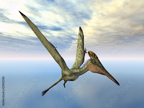 "Flugsaurier Pterodactylus" Stockfotos und lizenzfreie Bilder auf