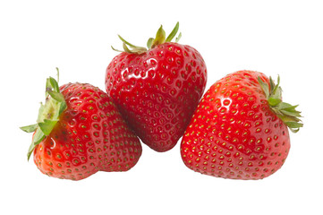 Erdbeere, Strawberry, Fragaria
