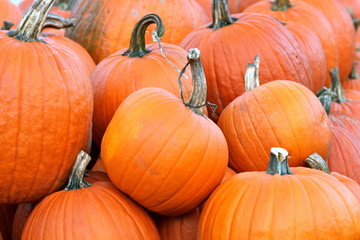 Autumn Pumpkins