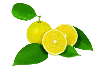 Limoni con foglie