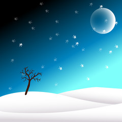 winterland illustration