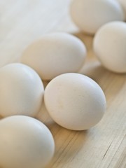 white chicken egg