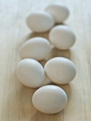 white chicken eggs