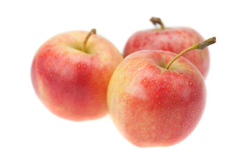 apple isolated on white