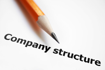 Company structure