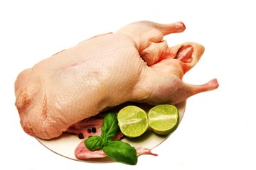 Gänsebraten -  roh