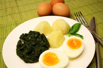 Mittagessen - vegetarisch