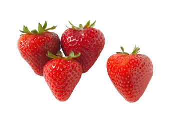 Erdbeere, Strawberry, Fragaria