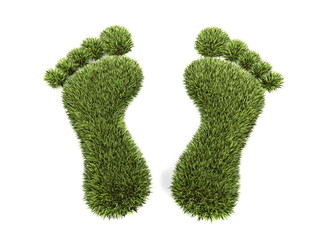 Grass footprint