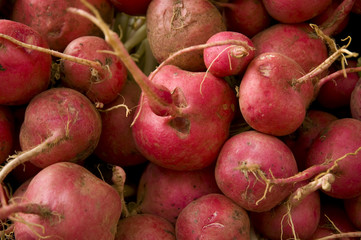 Radish bulk