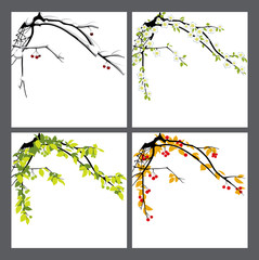 Apple-tree. Seasons.