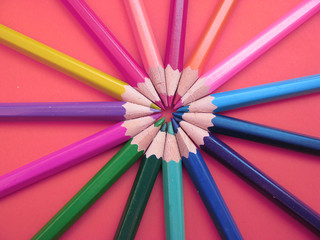 flower shape made of pencils