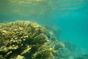 Diving in Egypt