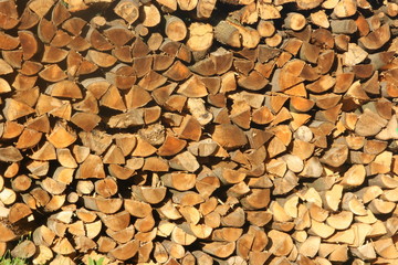 Brennholz,Holzvorrat