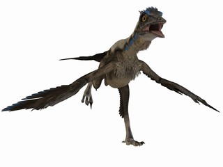 Archaeopteryx - 3D Dinosaurier