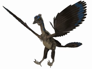 Archaeopteryx - 3D Dinosaurier