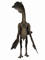 Archaeopteryx - 3D Dinosaurier