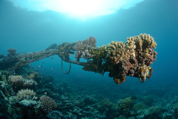 Shipwreck in shallow water