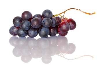 bunch of grapes